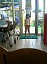 p04319.jpg