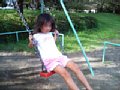 p04416.jpg