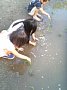 p04426.jpg