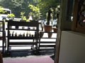 p04483.jpg