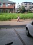 p04572.jpg