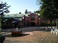 p04586.jpg