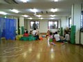 p04604.jpg