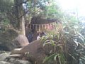 p04766.jpg