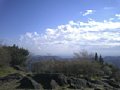 p04828.jpg