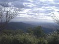 p04831.jpg