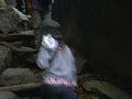 p04847.jpg