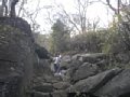 p04863.jpg