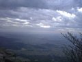 p04878.jpg