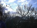 p04882.jpg