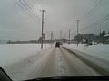 p05044.jpg