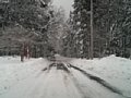 p05049.jpg