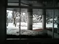 p05054.jpg