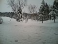 p05072.jpg
