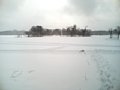 p05296.jpg