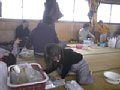 p05306.jpg