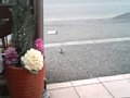 p05478.jpg