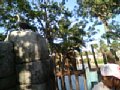 p05810.jpg