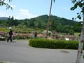 p06064.jpg