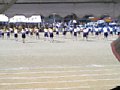 p06445.jpg