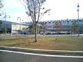 p06460.jpg