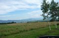p07071.jpg