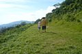 p07131.jpg