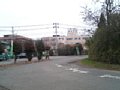 p07593.jpg