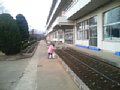 p07628.jpg