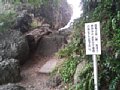 p07985.jpg