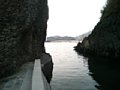 p07990.jpg
