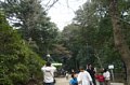 p08133.jpg
