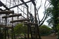 p08146.jpg