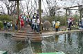 p08158.jpg