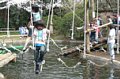 p08168.jpg