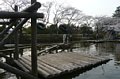 p08198.jpg
