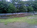 p08270.jpg