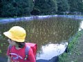 p08306.jpg