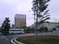 p08312.jpg