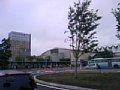 p08313.jpg
