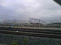 p08335.jpg