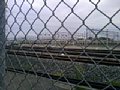 p08336.jpg