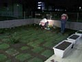 p08344.jpg