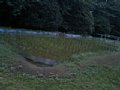 p08359.jpg