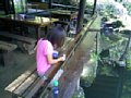 p08429.jpg