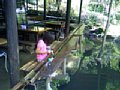 p08430.jpg