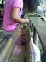 p08439.jpg