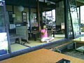 p08445.jpg