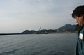 p08474.jpg