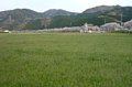 p08482.jpg